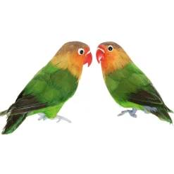 Decoración De Animales|Decoración De Verano>DecoWoerner Inseparable De Namibia Decorativo Sentado 20 Cm, 2 Piezas multicolor