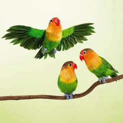 Decoración De Animales|Decoración De Verano><noscript><img width=