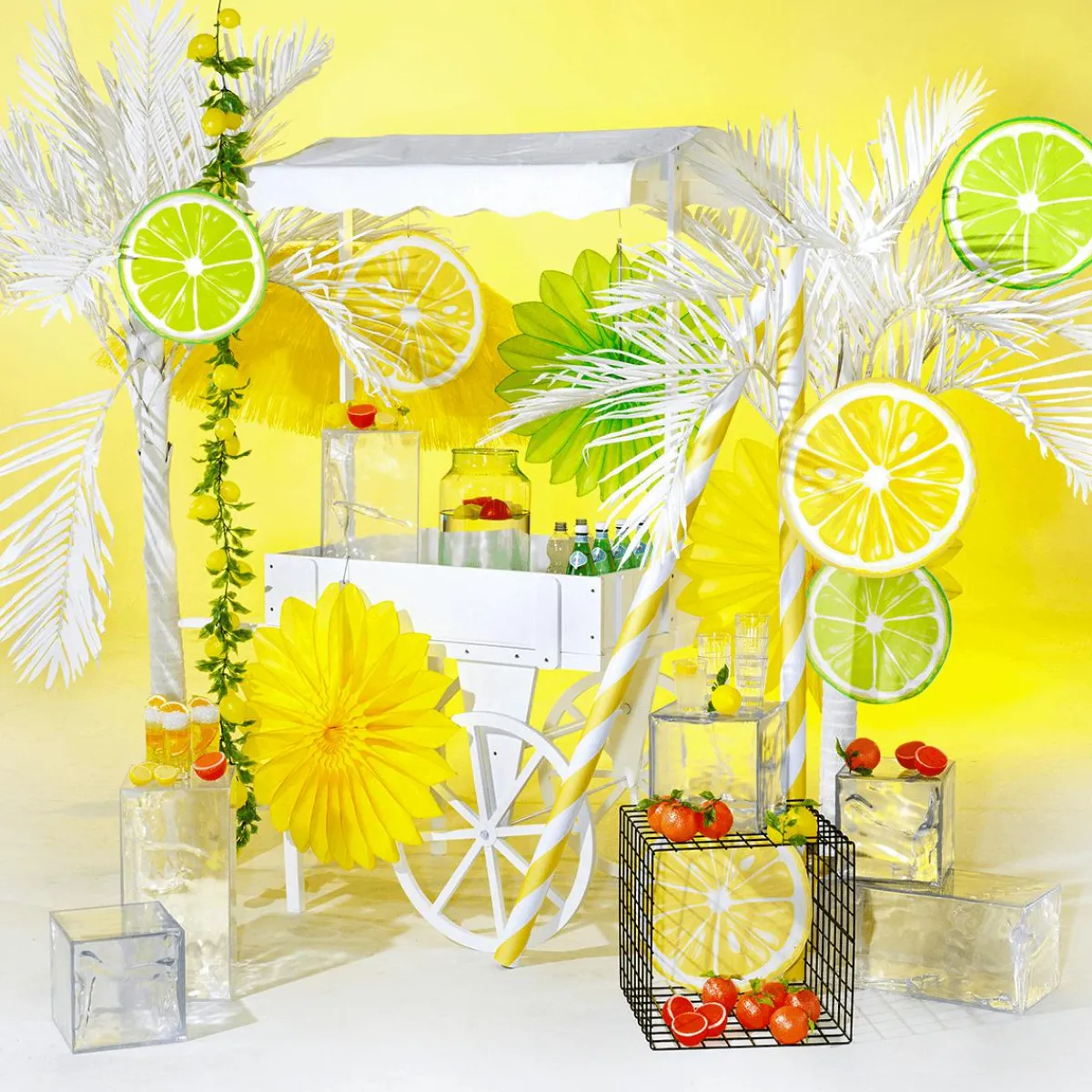 Decoración De Verano>DecoWoerner Juego De Exhibición Limette & Zitrone 35/40 Cm amarillo