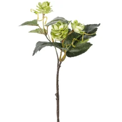 Decoración Temática|Decoración De Otoño>DecoWoerner Juego De Ramas Artificiales De Lúpulo De 3 Piezas 10 X 5 X 28 Cm verde