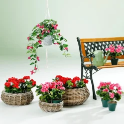Macetas Y Artículos De Decoración><noscript><img width=