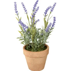 Decoración De Primavera|Plantas De Interior>DecoWoerner Lavanda Decorativa Con Maceta, 23 Cm violeta