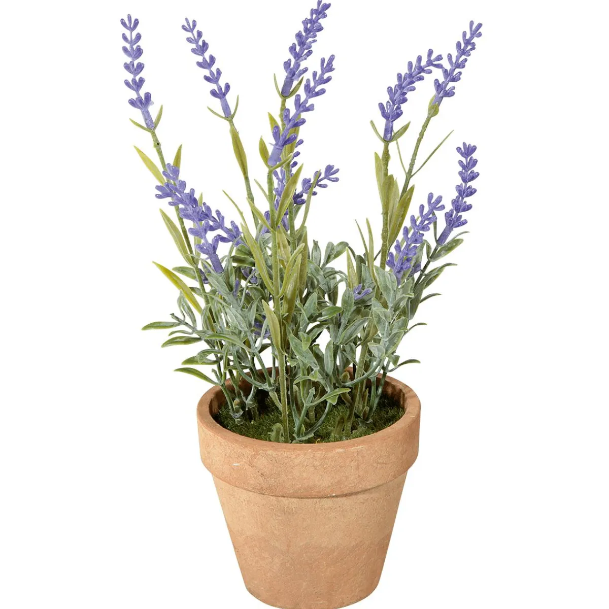 Decoración De Primavera|Plantas De Interior>DecoWoerner Lavanda Decorativa Con Maceta, 23 Cm violeta
