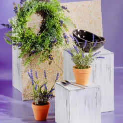 Decoración De Primavera|Plantas De Interior><noscript><img width=