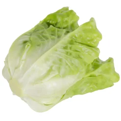 Verduras Y Hierbas>DecoWoerner Lechuga Romana verde