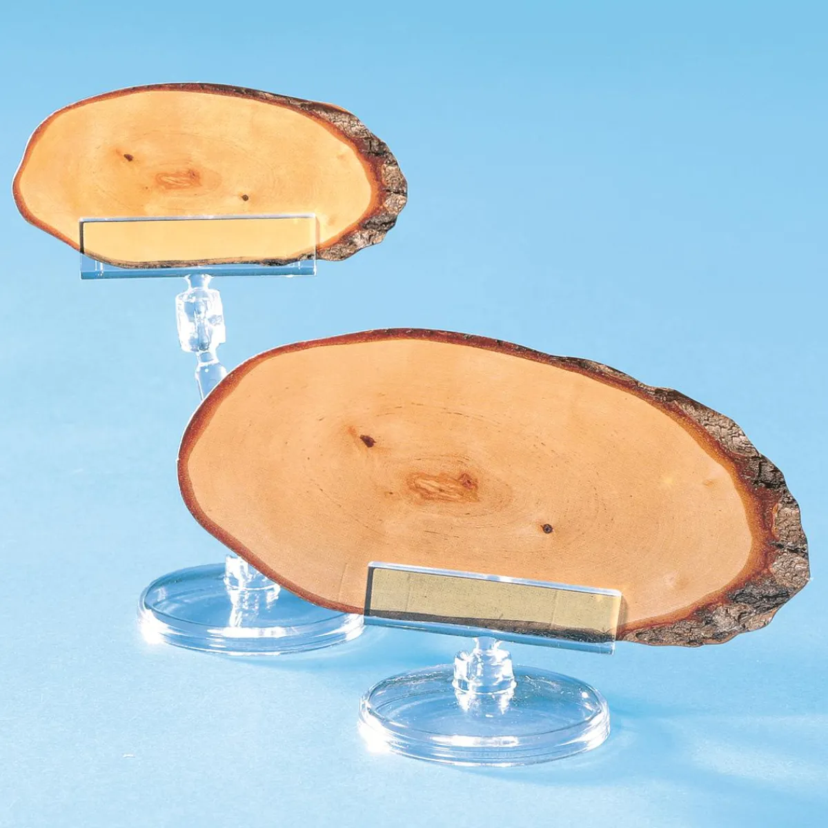 Etiquetaje>DecoWoerner Letrero De Precios Con Inserto, Altura 4 Cm transparente