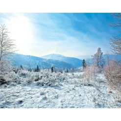 Bandera Xxl|Decoración De Invierno>DecoWoerner Lona XXL "Paisaje De Invierno" De Lona De Camión Ignífuga 250 X 330 Cm blanco