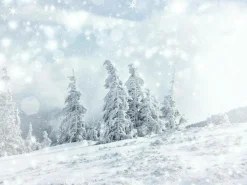 Bandera Xxl|Decoración De Invierno>DecoWoerner Lona XXL "Paisaje De Nieve" De Lona De Camión Ignífuga 250 X 330 Cm blanco