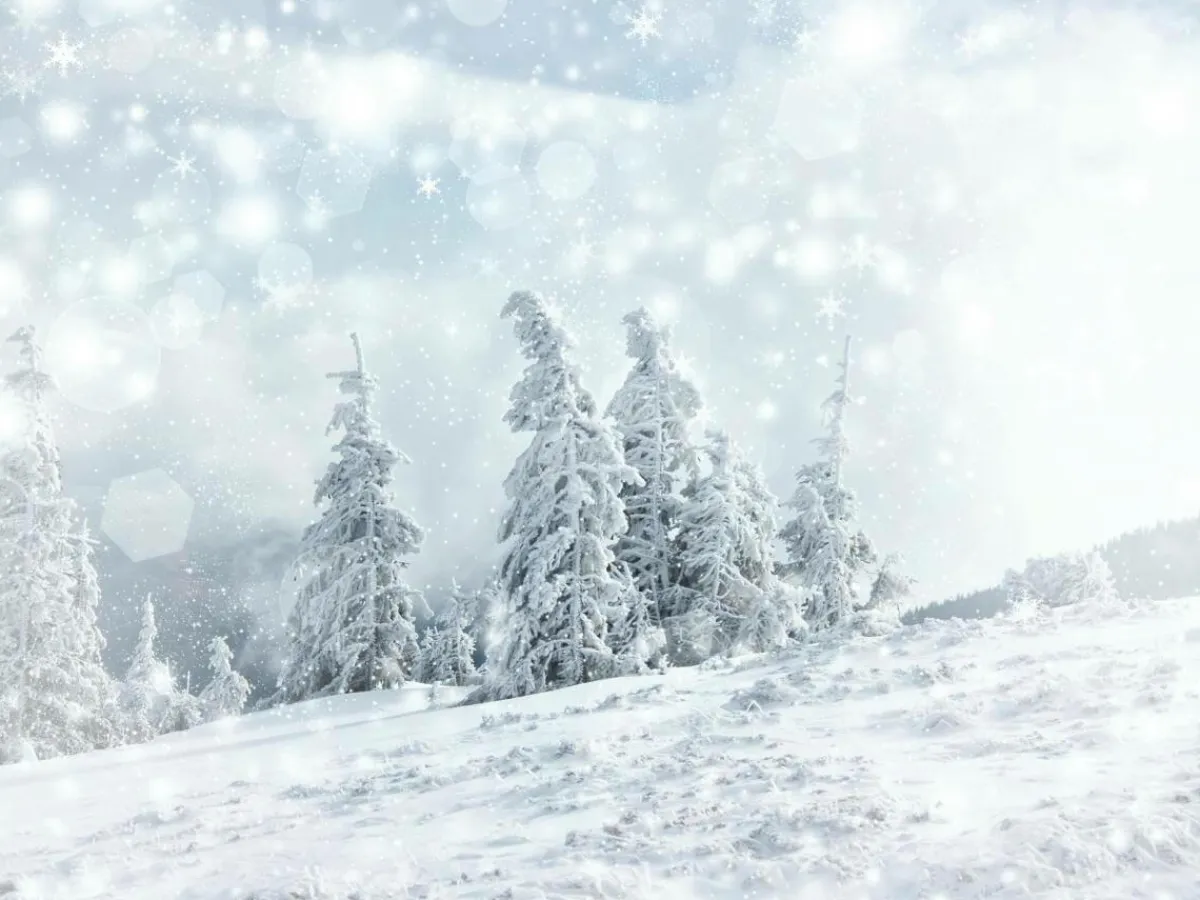Bandera Xxl|Decoración De Invierno>DecoWoerner Lona XXL "Paisaje De Nieve" De Lona De Camión Ignífuga 250 X 330 Cm blanco