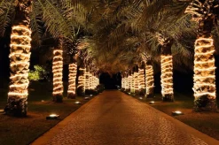 Luz Decorativa|Luces De Navidad>DecoWoerner Manguera De Luz Para Iluminación Decorativa, 44 M transparente