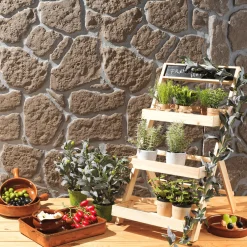 Verduras Y Hierbas><noscript><img width=