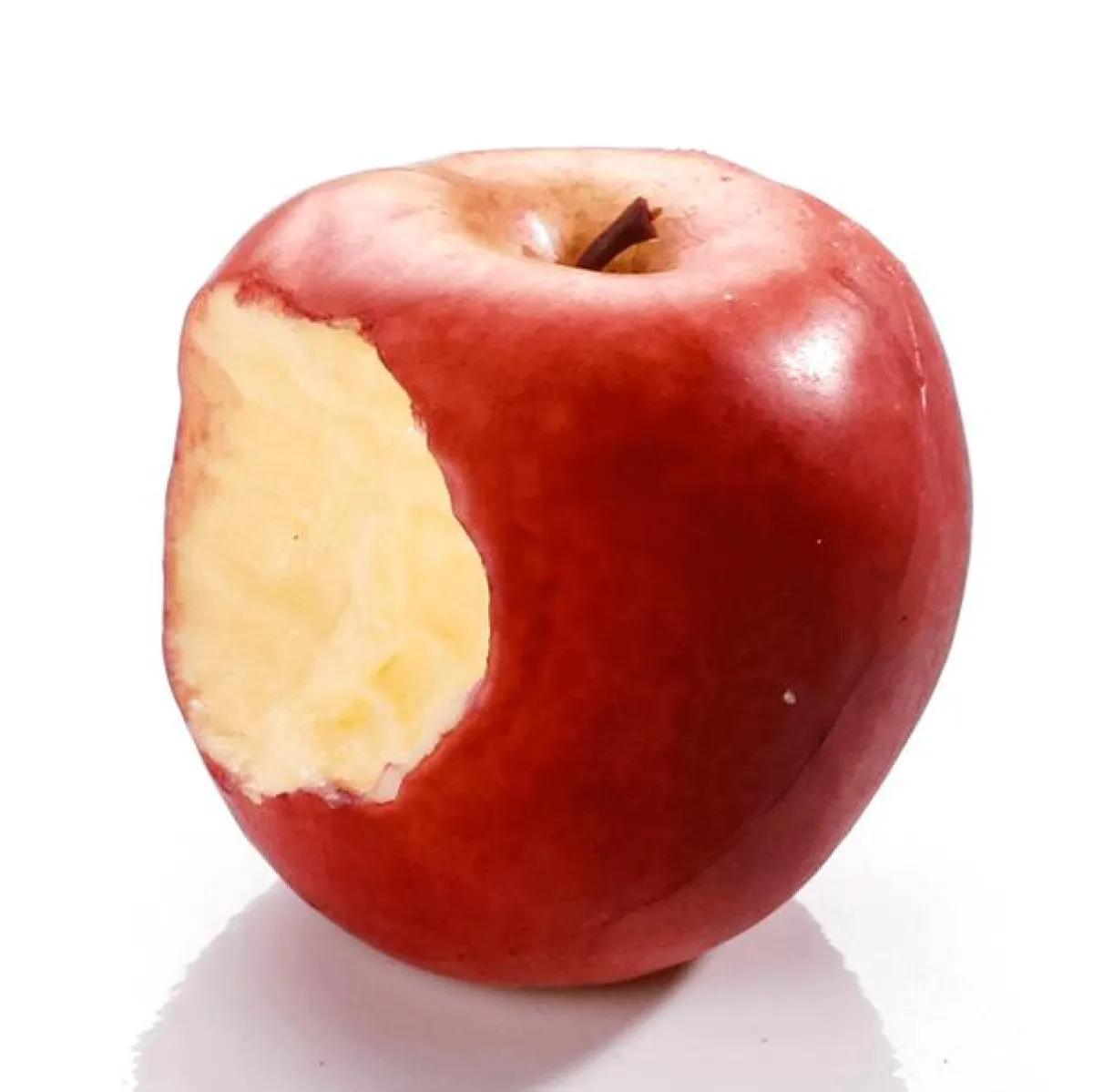 Frutas>DecoWoerner Maniquí De Manzana Roja Mordida 7,5 Cm Ø rojo