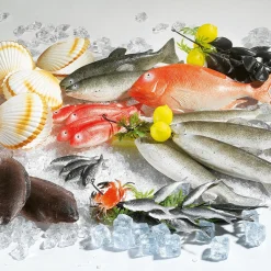 Decoración De Verano|Pescados Y Mariscos>DecoWoerner Maniquí Trucha, Pack De 2 Piezas Gris