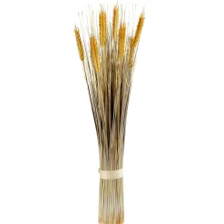 Decoración De Otoño|Hierba Decorativa>DecoWoerner Manojo De Espigas De Trigo Decorativo 60 Cm amarillo
