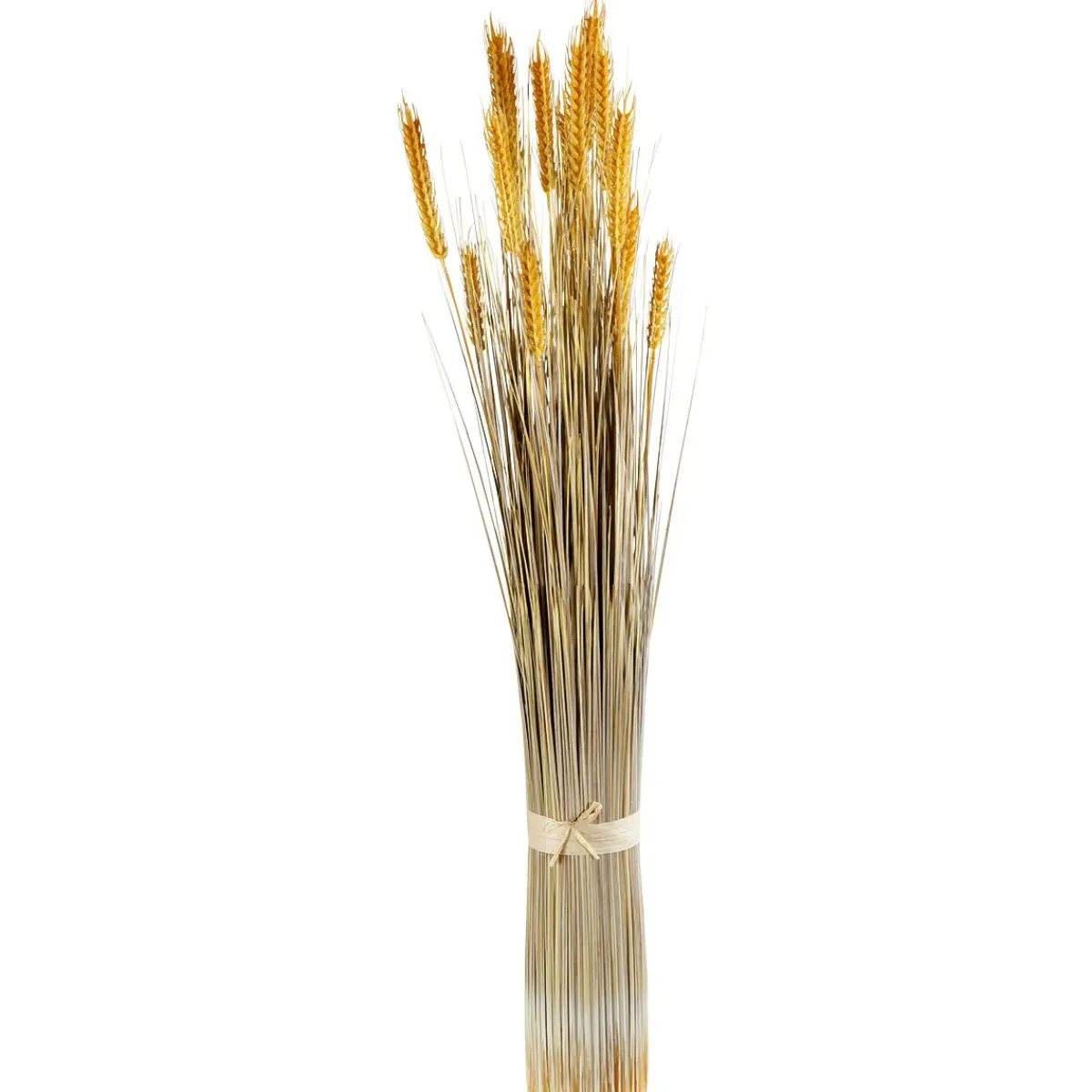 Decoración De Otoño|Hierba Decorativa>DecoWoerner Manojo De Espigas De Trigo Decorativo, 90 Cm amarillo
