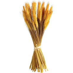 Decoración De Otoño|Hierba Decorativa>DecoWoerner Manojo De Espigas De Trigo Decorativo 60 Cm amarillo