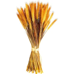 Decoración De Otoño|Hierba Decorativa>DecoWoerner Manojo De Espigas De Trigo Decorativo 60 Cm amarillo