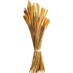 Decoración De Otoño|Hierba Decorativa>DecoWoerner Manojo De Espigas De Trigo Decorativo 90 Cm amarillo
