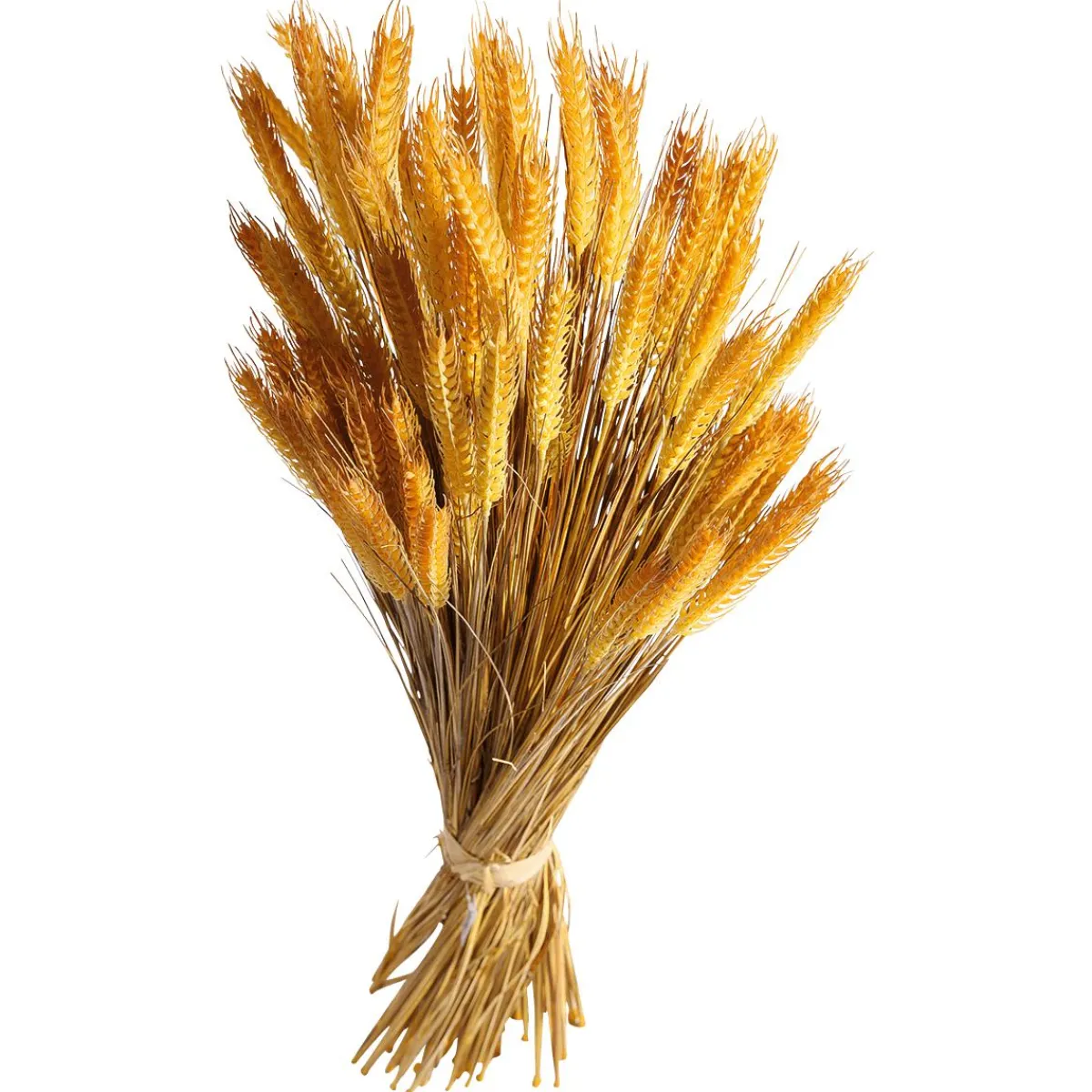 Decoración De Otoño|Hierba Decorativa>DecoWoerner Manojo De Espigas De Trigo Decorativo 90 Cm amarillo