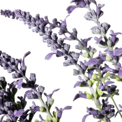 Hierba Decorativa|Flores Artificiales>DecoWoerner Manojo De Hierba De Lavanda Deco 55 X 25 Cm (HxA) violeta