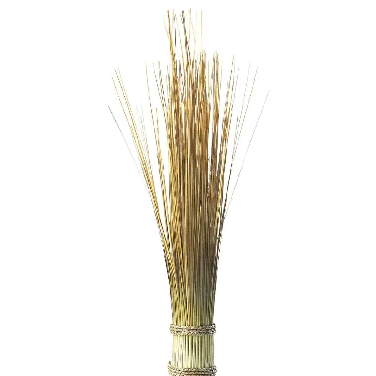 Decoración De Otoño|Hierba Decorativa>DecoWoerner Manojo De Hierba Decorativa, Longitud 50 Cm marrón