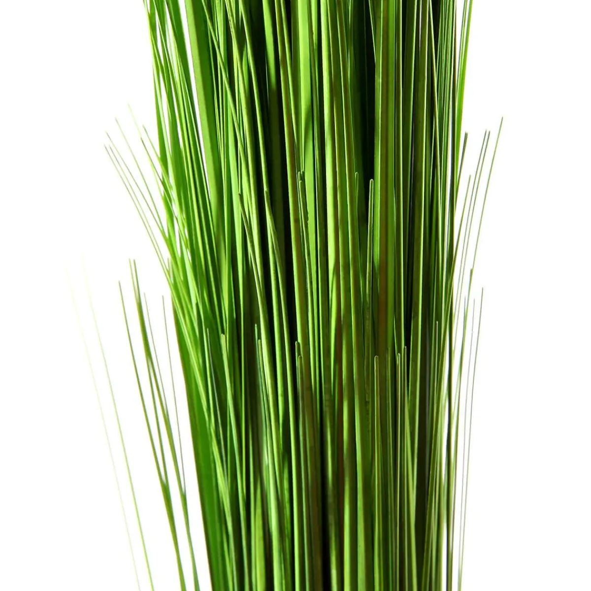 Decoración De Primavera|Hierba Decorativa>DecoWoerner Manojo De Hierba Decorativa Extra Largo, Longitud 90 Cm verde