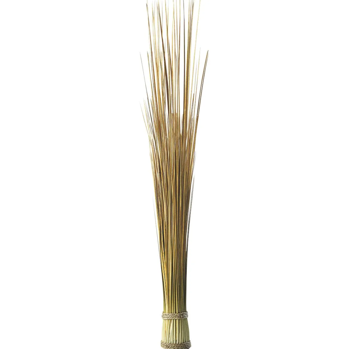 Decoración De Otoño|Hierba Decorativa>DecoWoerner Manojo De Hierba Decorativa Extra Largo, Longitud 90 Cm marrón