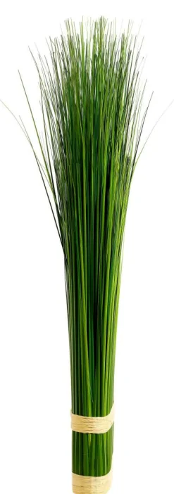 Hierba Decorativa><noscript><img width=