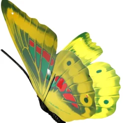 Decoración De Animales|Decoración De Primavera><noscript><img width=