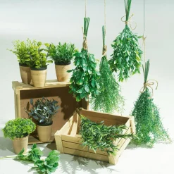 Plantas De Interior|Verduras Y Hierbas>DecoWoerner Menta Decorativa En Tiesto De Barro 20 Cm verde