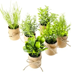 Plantas De Interior|Verduras Y Hierbas>DecoWoerner Mini Hierbas En Maceta 6 Piezas 15 Cm verde