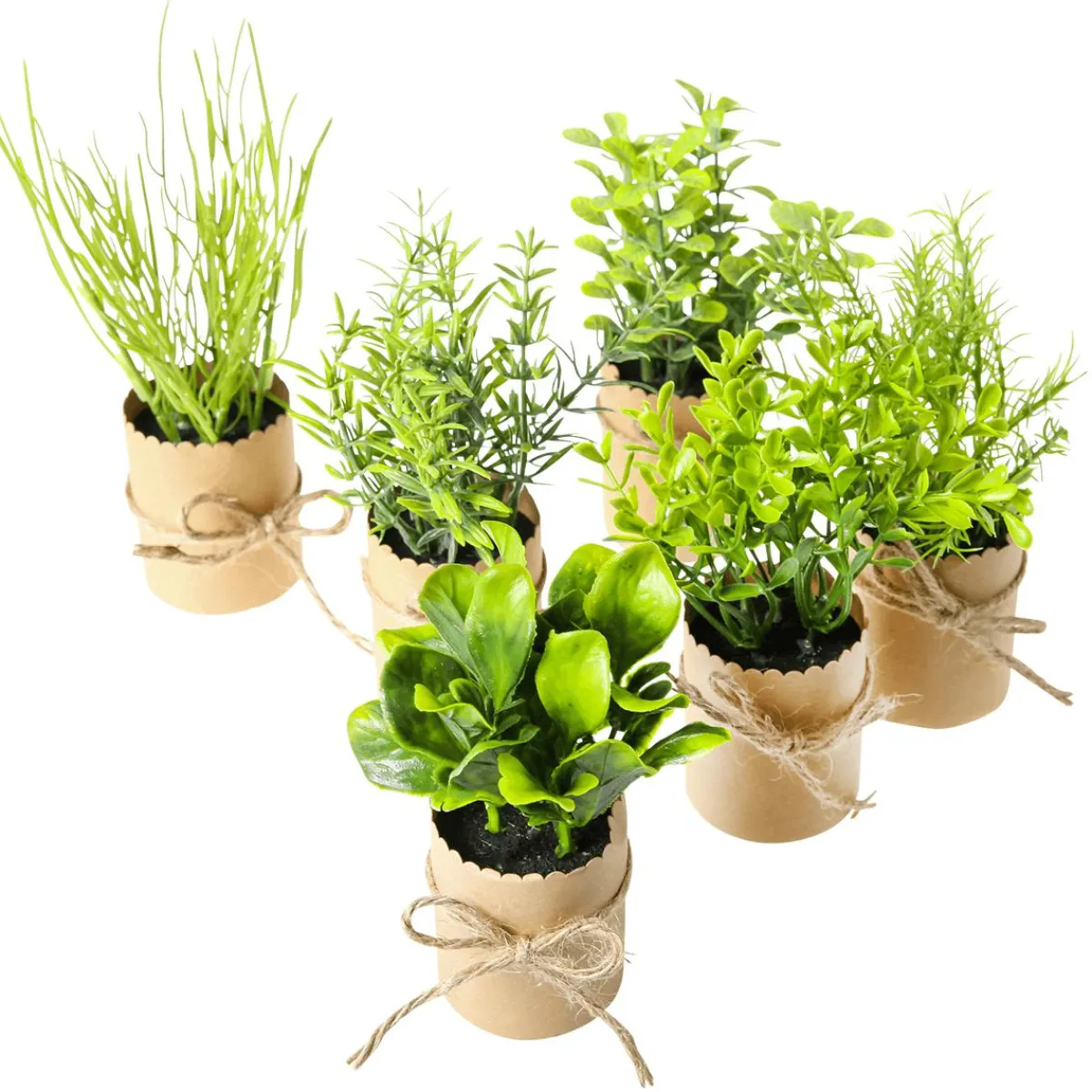 Plantas De Interior|Verduras Y Hierbas>DecoWoerner Mini Hierbas En Maceta 6 Piezas 15 Cm verde
