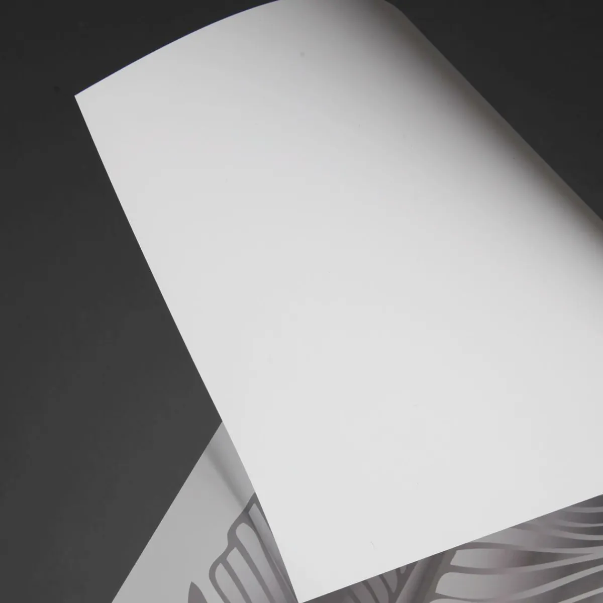 Decoración Temática|Pancartas Temáticas>DecoWoerner Muelle De La Bandera De Papel De Aluminio, 139 Cm De Largo transparente
