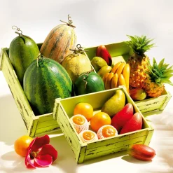 Frutas><noscript><img width=
