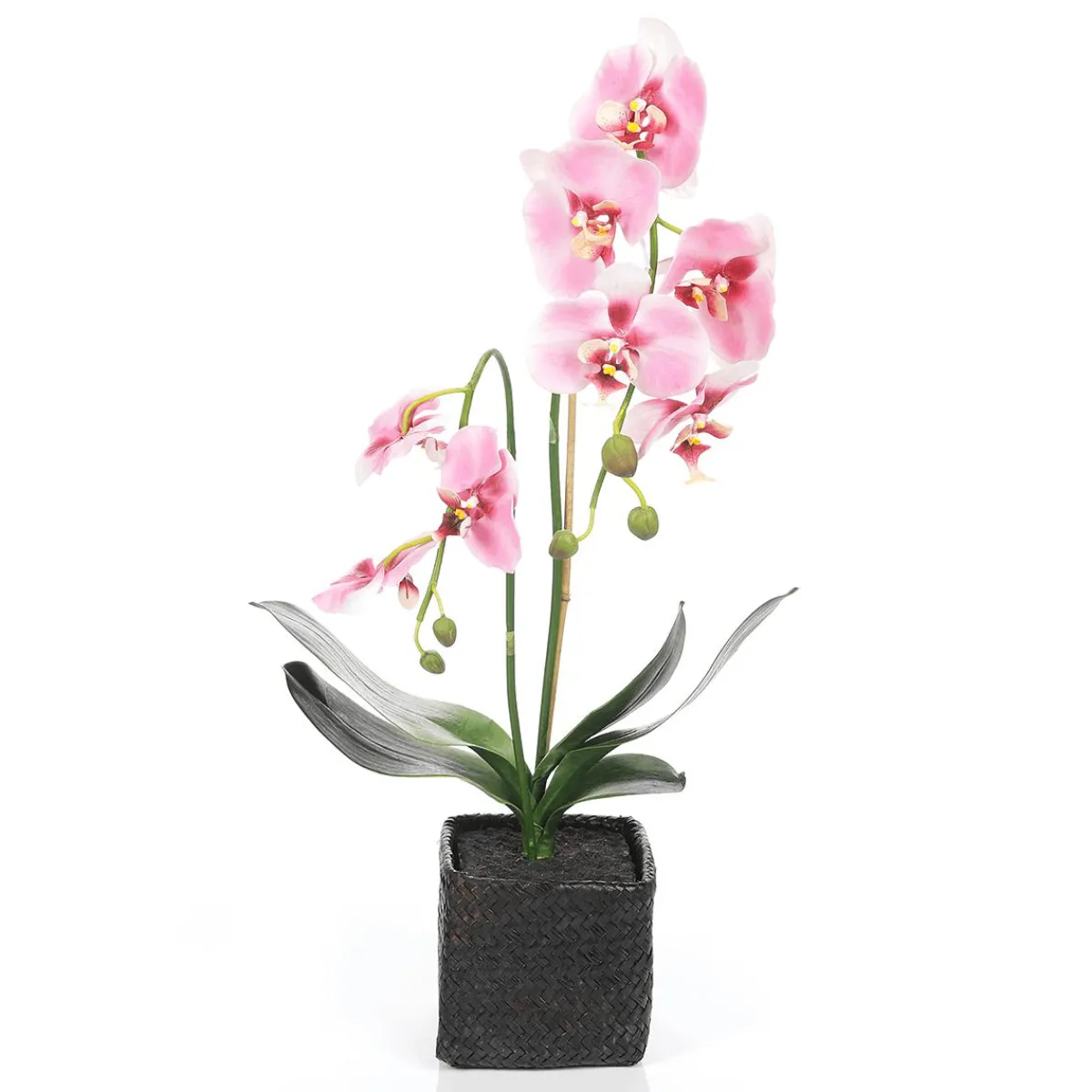 Plantas De Interior|Flores Artificiales>DecoWoerner Orquídea Decorativa En Maceta 80 Cm rosa