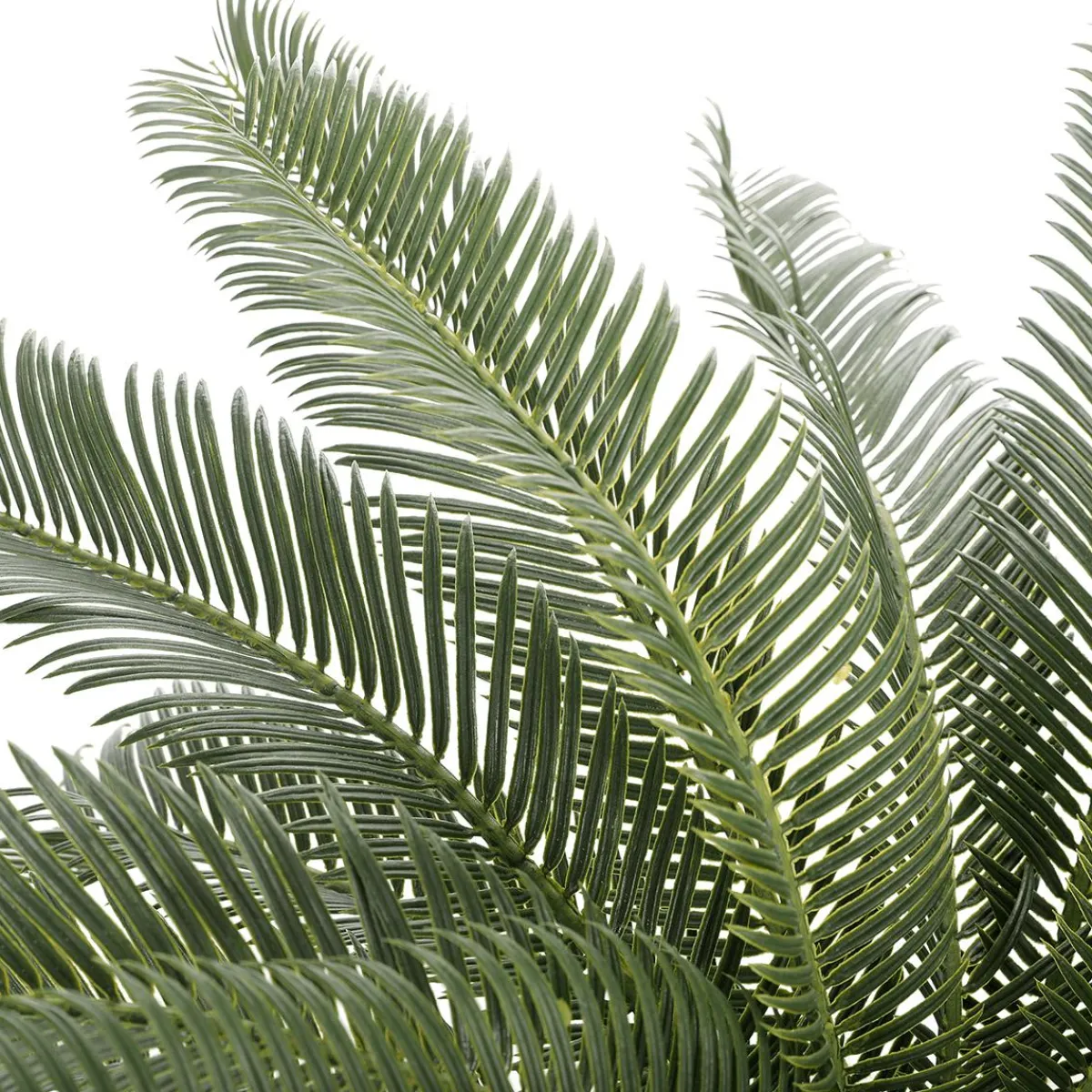 Árboles Artificiales>DecoWoerner Palmera Artificial Cycas En Maceta Lista 65 Cm verde