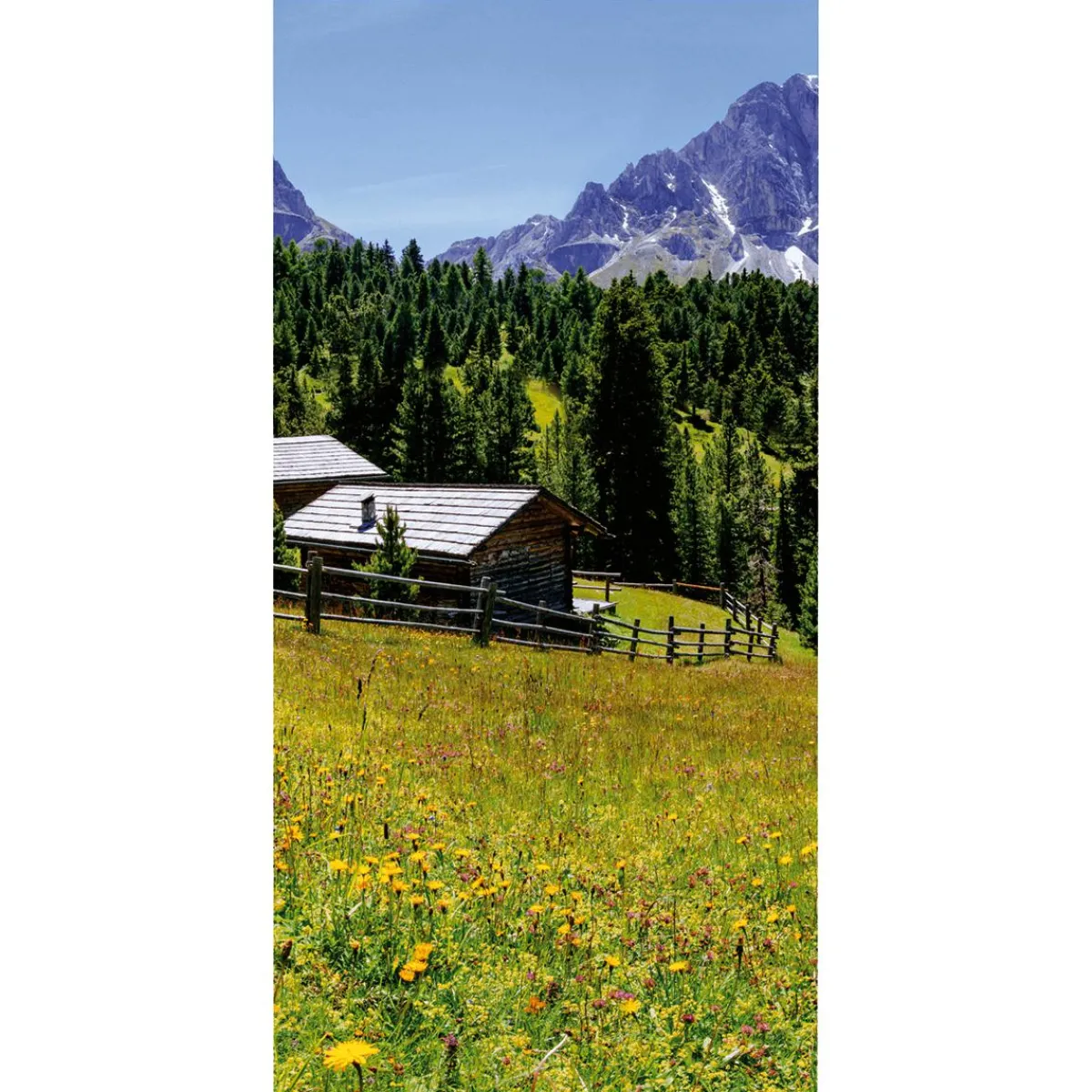 Decoración De Otoño|Decoración De Verano>DecoWoerner Pancarta De Tela Ignífuga "Pasto De Montaña Con Cabaña" De Tela De Bandera 100 X 200 Cm verde