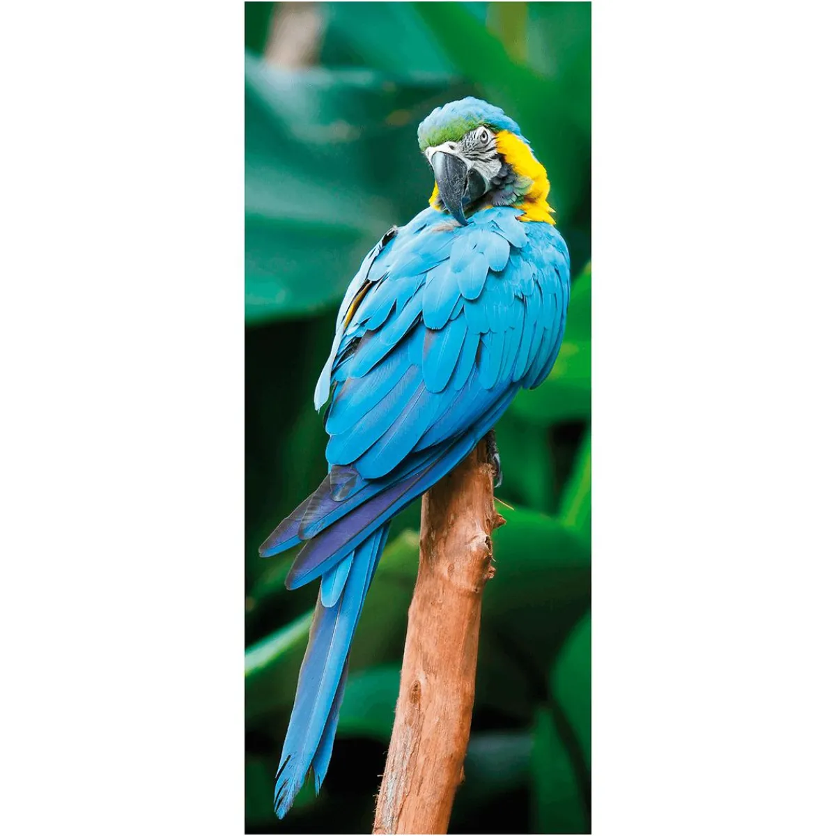 Decoración De Verano|Pancartas De Verano>DecoWoerner Pancarta De Tela Ignífuga "Papagayo " Tela De Bandera 75 X 180 Cm azul