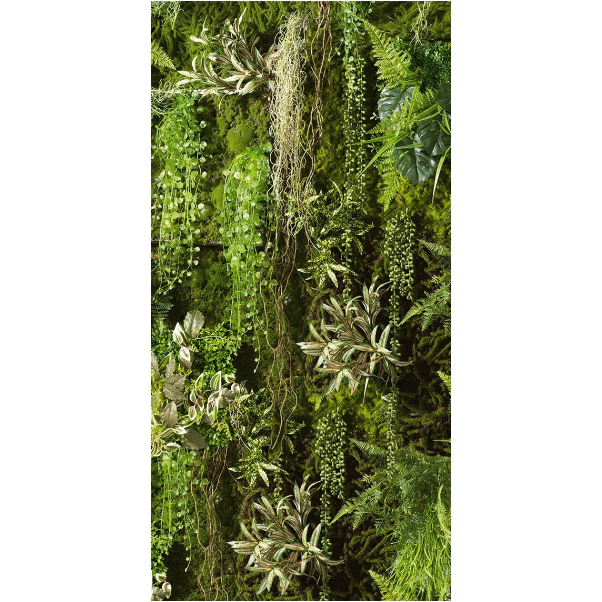 Decoración Natural|Decoración De Verano>DecoWoerner Pancarta De Tela Ignífuga "Muro De Plantas s" De Tela De Bandera 100 X 200 Cm verde