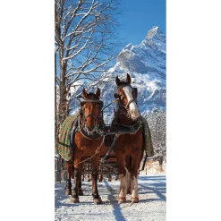 Decoración De Invierno|Pancartas De Navidad E Invierno>DecoWoerner Pancarta De Tela Ignífuga "Carro De Caballos En La Nieve" De Tela De Bandera 100 X 200 Cm marrón