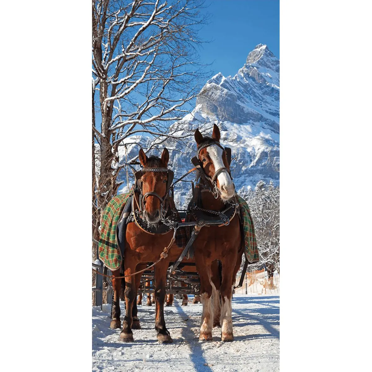 Decoración De Invierno|Pancartas De Navidad E Invierno>DecoWoerner Pancarta De Tela Ignífuga "Carro De Caballos En La Nieve" De Tela De Bandera 100 X 200 Cm marrón