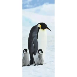 Decoración De Invierno|Pancartas De Navidad E Invierno>DecoWoerner Pancarta De Tela Ignífuga "Familia De Pingüinos Emperadores" Tela De Bandera 75 X 180 Cm negro
