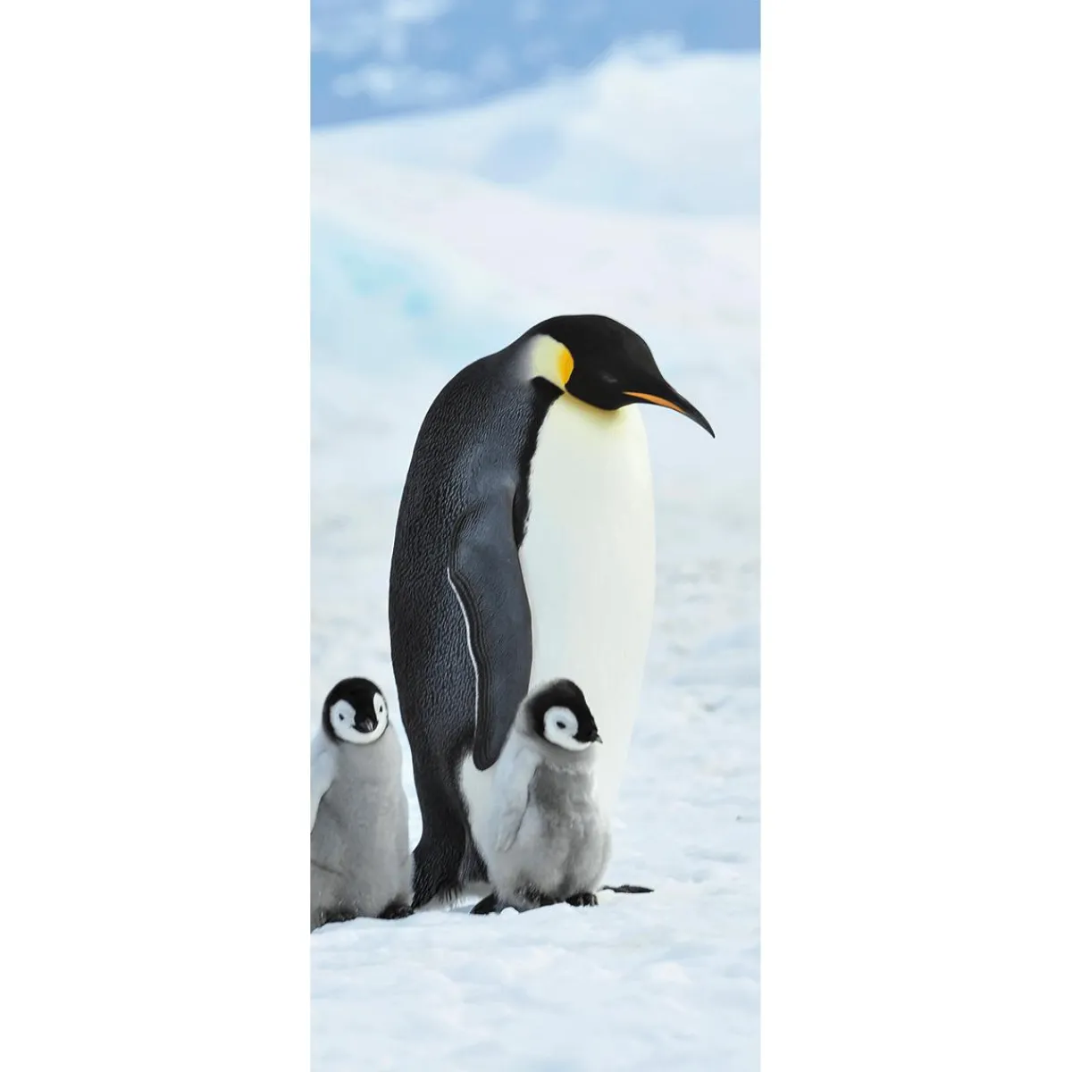 Decoración De Invierno|Pancartas De Navidad E Invierno>DecoWoerner Pancarta De Tela Ignífuga "Familia De Pingüinos Emperadores" Tela De Bandera 75 X 180 Cm negro