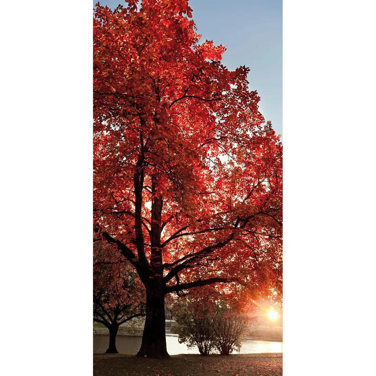 Decoración De Otoño|Pancartas De Otoño>DecoWoerner Pancarta De Tela Ignífuga "árbol De Otoño" De Tela De Bandera 100 X 200 Cm rojo
