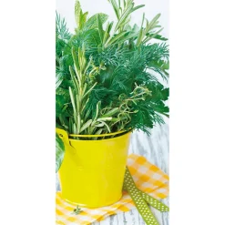 Pancartas Temáticas|Pancartas De Verano>DecoWoerner Pancarta De Tela Ignífuga "Herb Pot" De Tela De Bandera 100 X 200 Cm verde