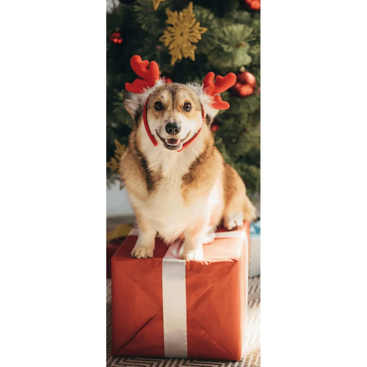 Pancartas De Navidad E Invierno|Bandera De Navidad>DecoWoerner Pancarta De Tela Ignífuga "Perro De Navidad Corgi" De Tela De Bandera 75 X 180 Cm marrón