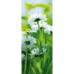 Decoración De Primavera|Pancartas De Primavera>DecoWoerner Pancarta De Tela Ignífuga "margaritas Blancas" De Tela De Bandera 75 X 180 Cm blanco