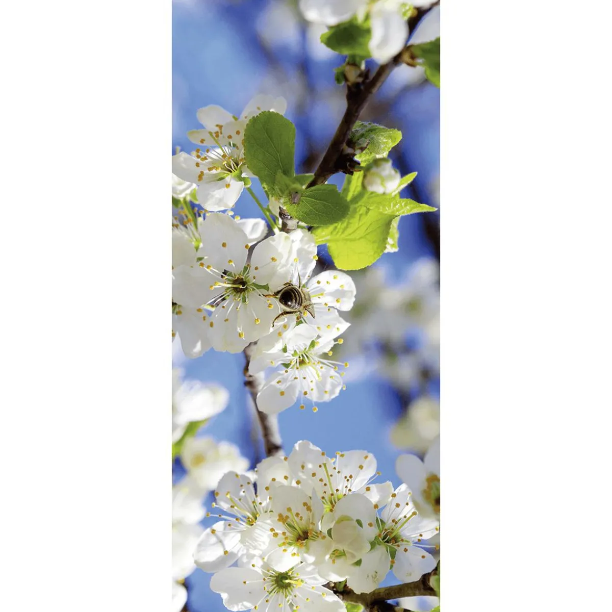 Decoración De Primavera|Pancartas De Primavera>DecoWoerner Pancarta De Tela Ignífuga "flores De Manzano Blancas Con Abeja" De Tela De Bandera 75 X 180 Cm blanco