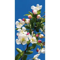 Pancartas De Primavera>DecoWoerner Pancarta De Tela Ignífuga "Rama De Manzano En Flor" De Tela De Bandera 100 X 200 Cm blanco