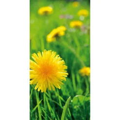 Decoración De Verano|Decoración De Primavera>DecoWoerner Pancarta De Tela Ignífuga "diente De León " De Tela De Bandera 100 X 200 Cm amarillo
